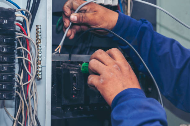 Best Electric Panel Repair  in Pella, IA
